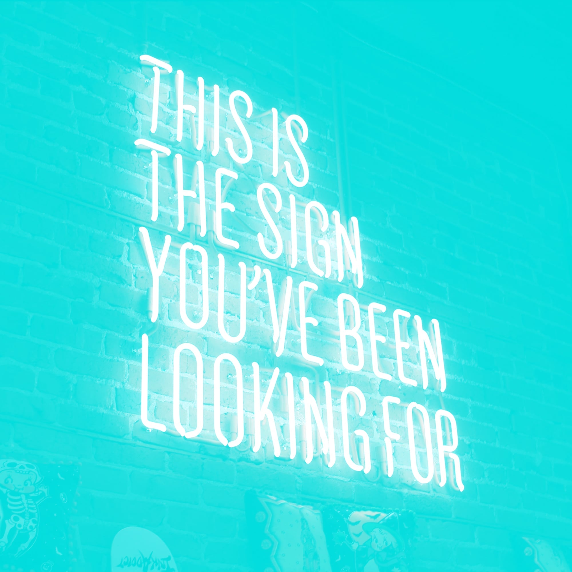 neon sign this is the sign youve been looking for brick wall teal
