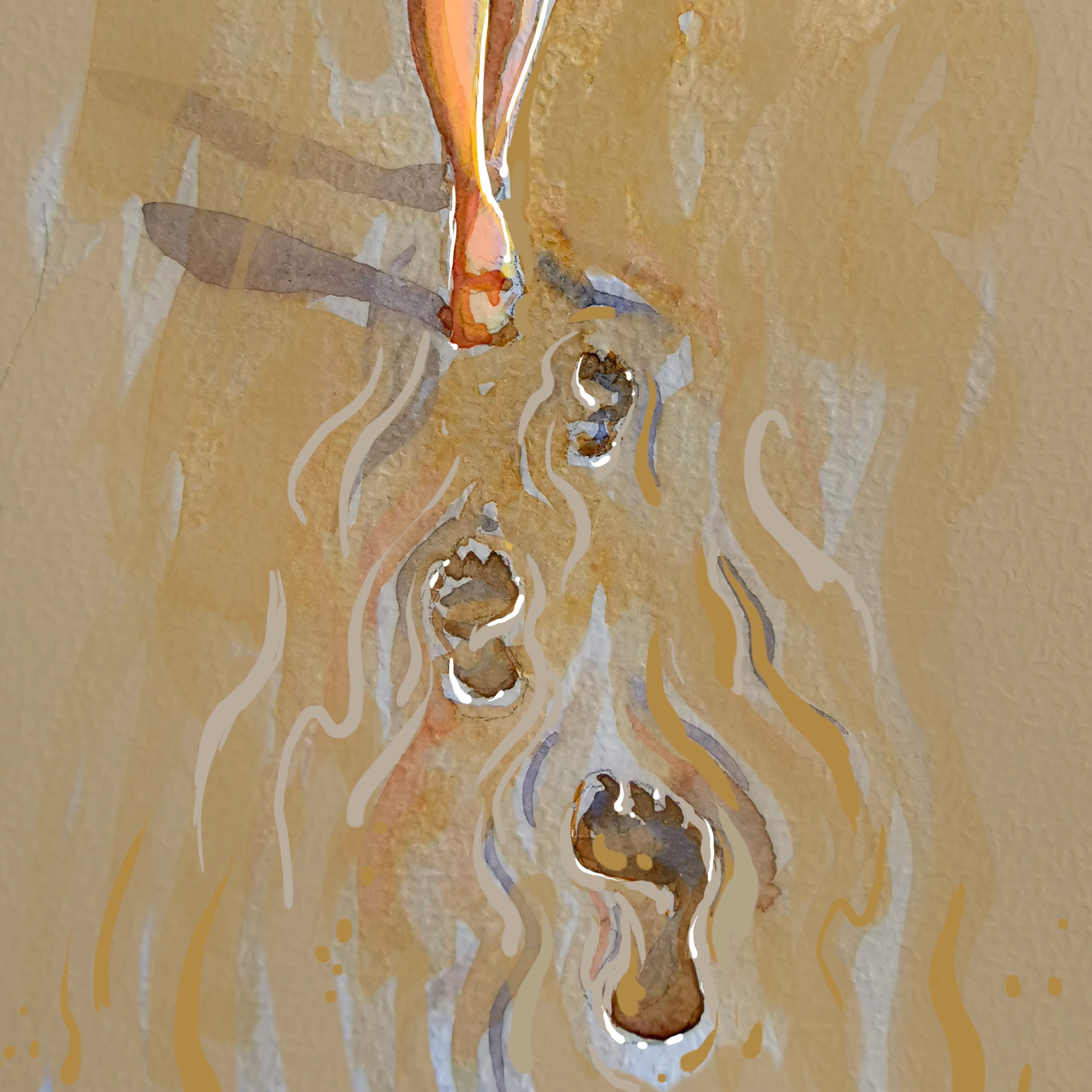Watercolour illustration of footprints with flowing line details on a warm textured background