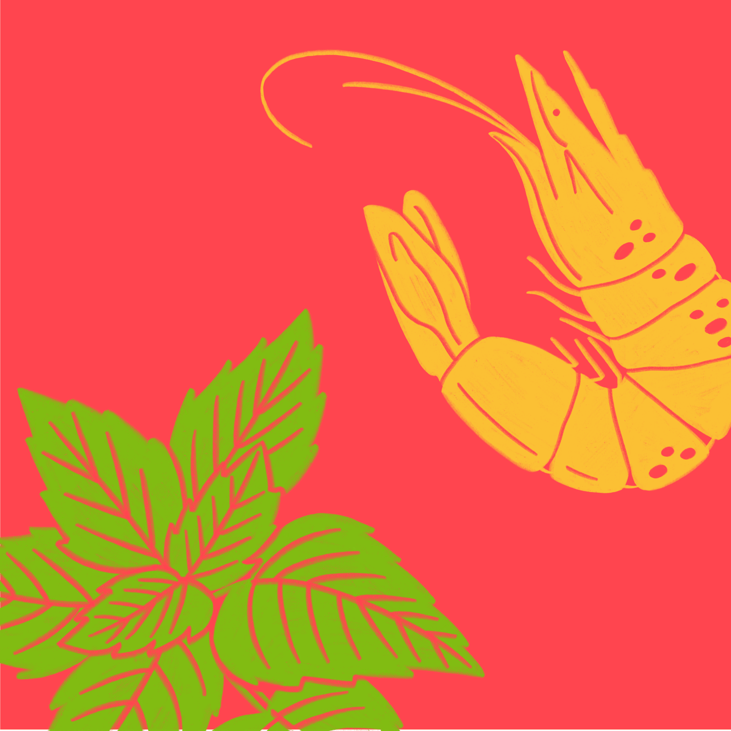 Illustration of prawn and mint leaves