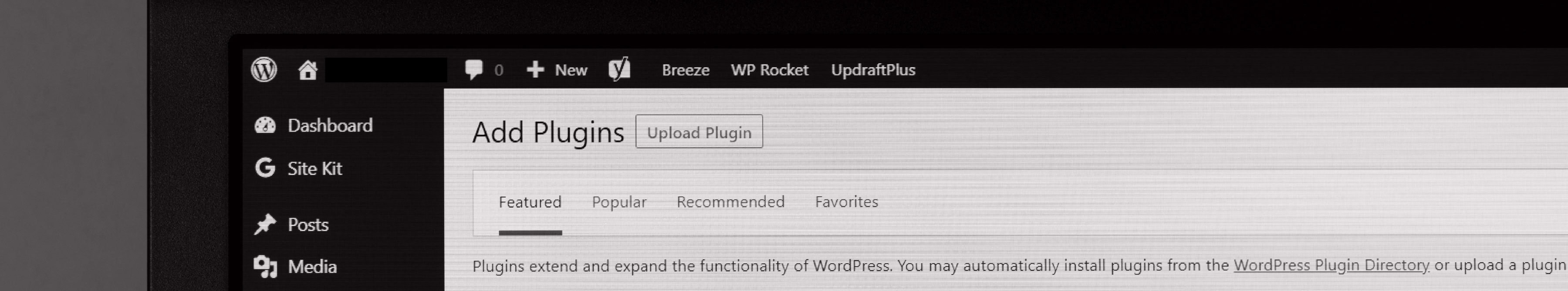 Close up of WordPress CMS plugin page